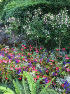 Bedding plant combination at Butchart Gardens